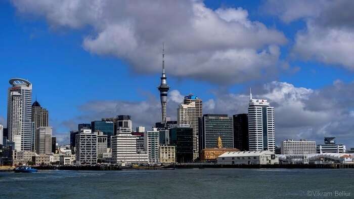 view of the auckland city from the pier