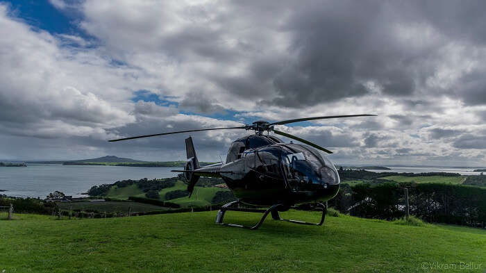 sightseeing in Waiheke island