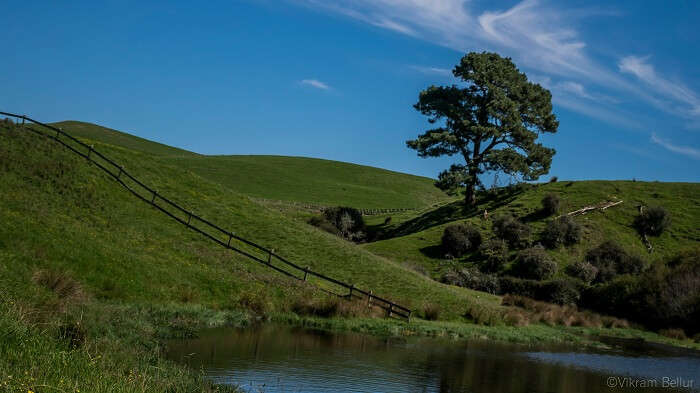 Hobbiton village set in new zealand