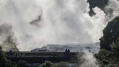 natural geyser in Rotorua