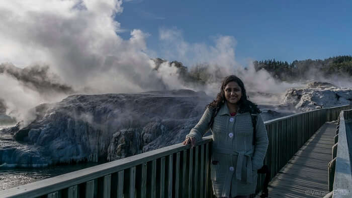 Rotorua natural geyser