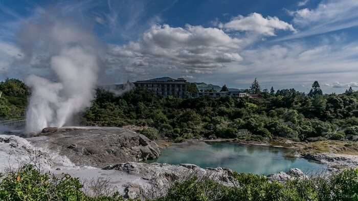 geo thermal spring in new zealand