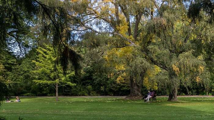 spending time in leisure at the botanical garden