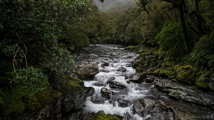 scenery in queenstown