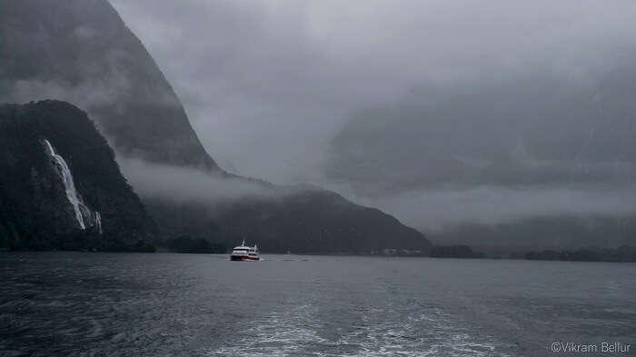 milford sound cruise new zealand