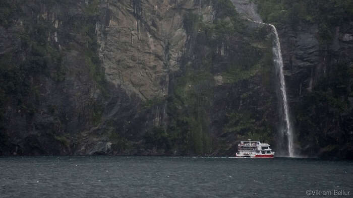 milford sound cruise new zealand