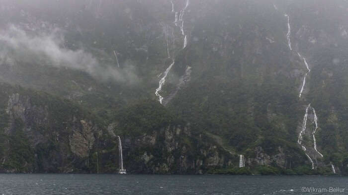 milford sound cruise experience
