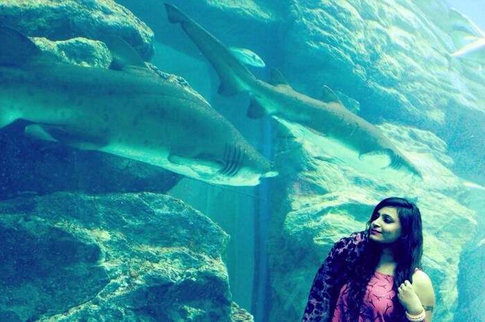 Underwater zoo Dubai