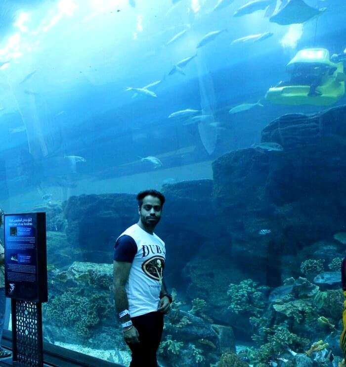 Underwater aquarium dubai