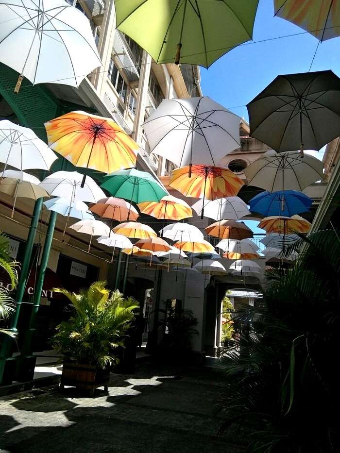 umbrella market in mauritius 