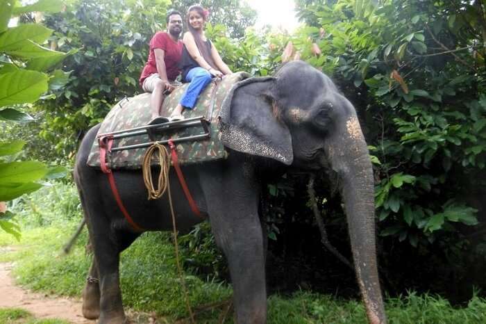 Elephant_Ride