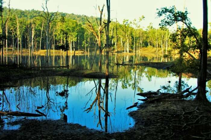 How to reach Pench National Park