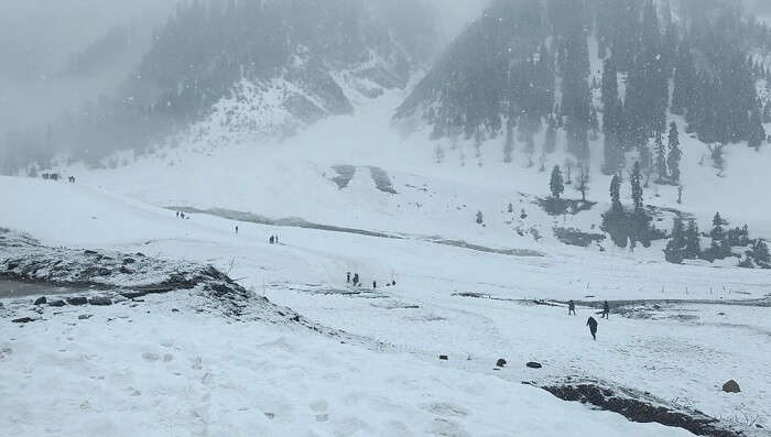 heavy snow in sonmarg