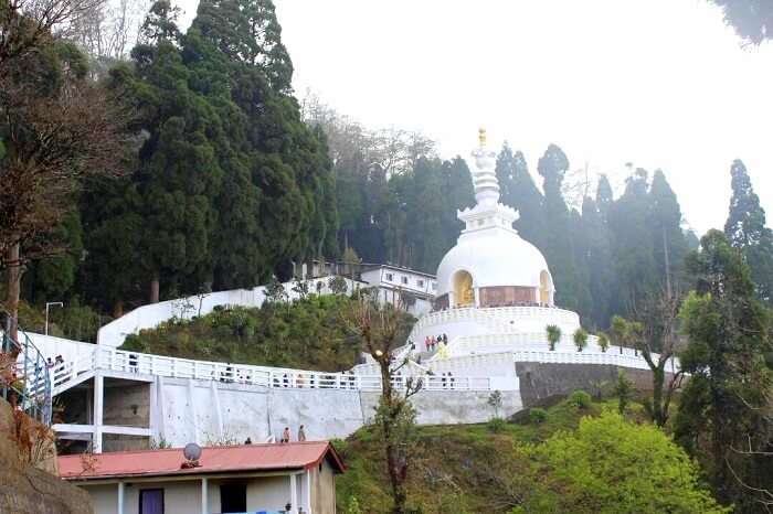 peace pagoda in darjeeling