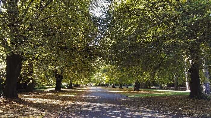 Botancial garden in Christchurch