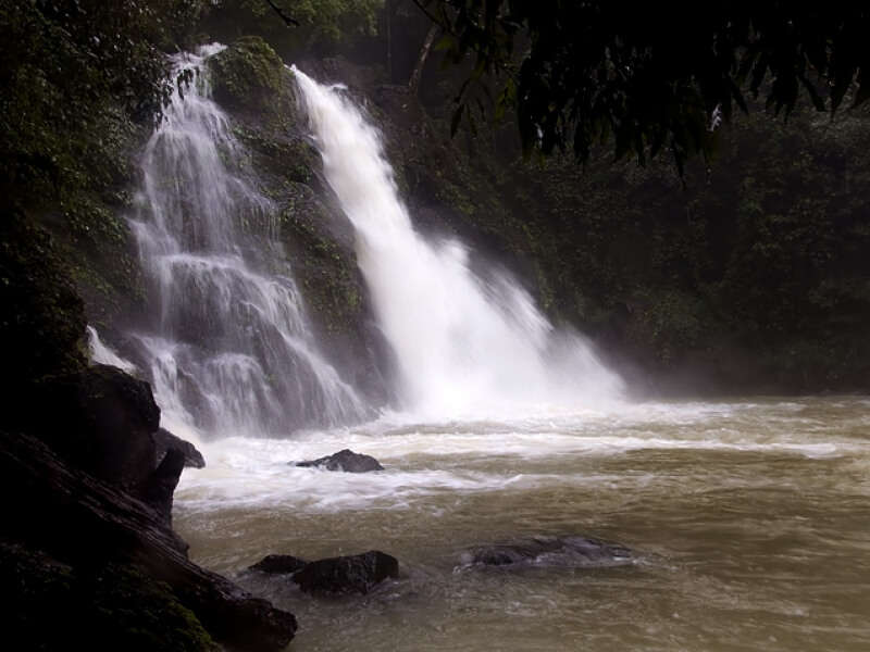 Jogi Gundi falls in Agumbe