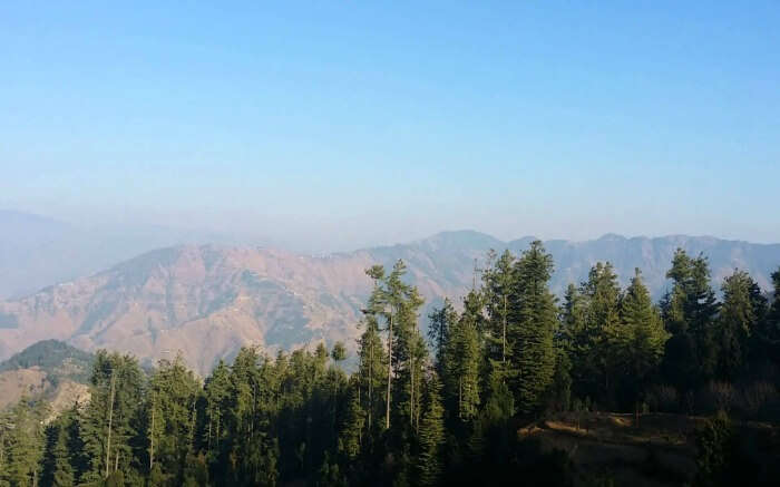 Mashobra hills in Himachal 