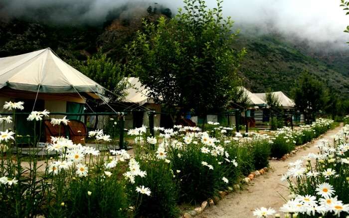 Mornings at the Banjara Camp in Sangla 