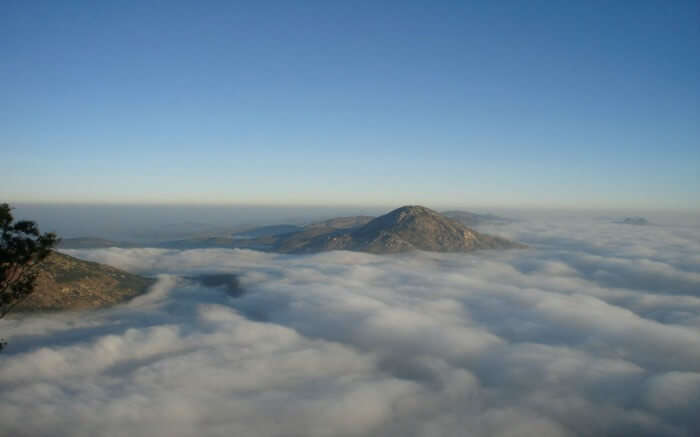 Nandi Hills submerged in clouds