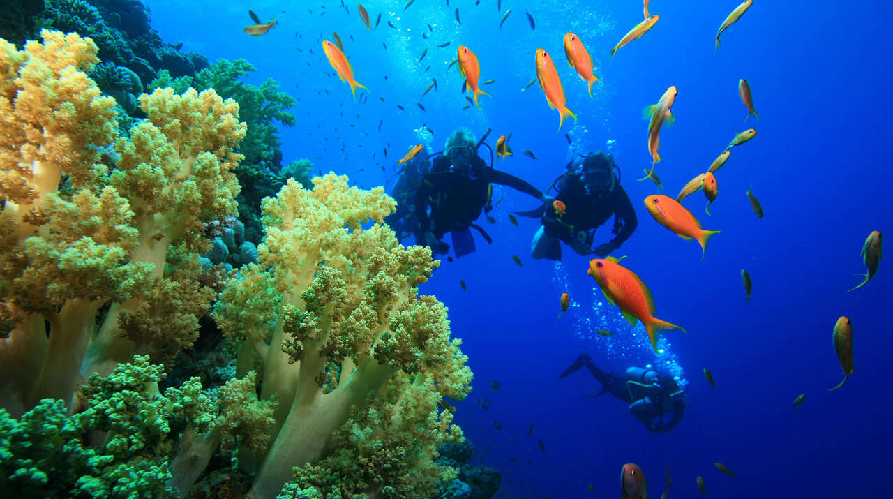 Scuba diving in Santorini