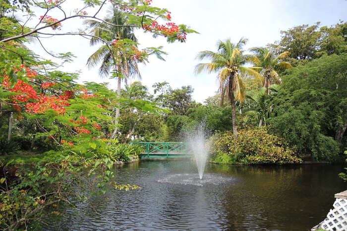 Romance At The Garden of the Groves