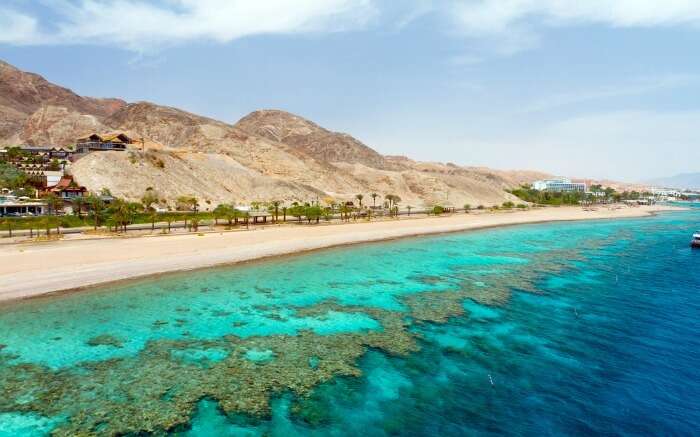 Shores of Coral Reef Beach in Israel 