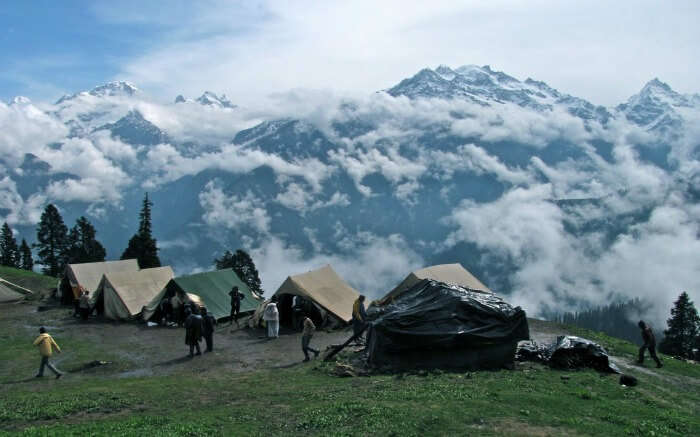 camping in mist covered mountains of Narkanda 