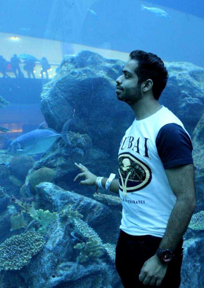 underwater aquarium in dubai
