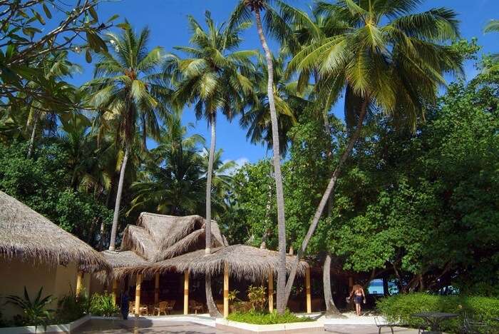 A shot from the Biyadhoo Island Reosrt on the Biyadhoo Island in Maldives