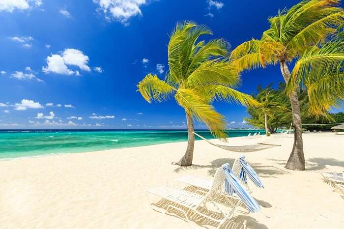 Chairs and palm trees on the Seven Miles Beach on the Grand Cayman island