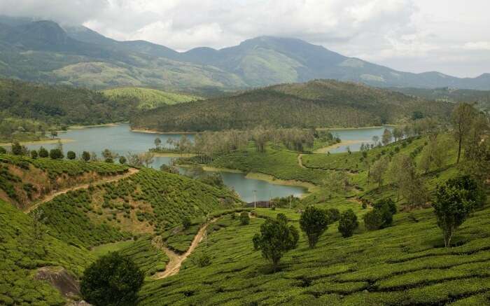 tea gardens and a lake in Yelagiri 