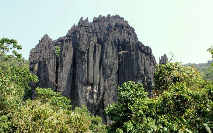 the black of Yana hills
