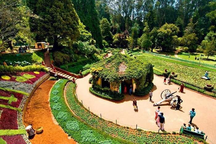 Botanical gardens in Ooty