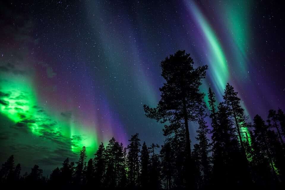 Tree shadows under Northern Lights 