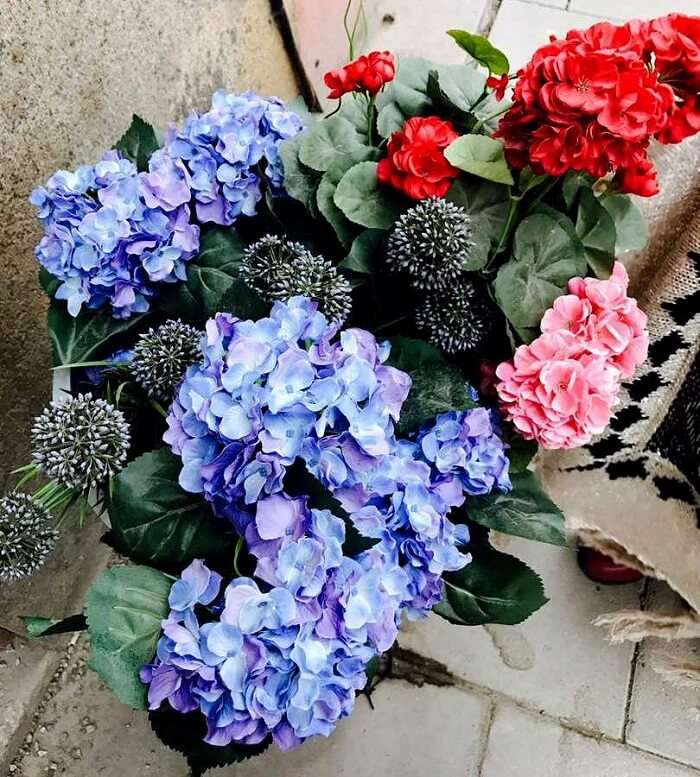 blue and red flowers