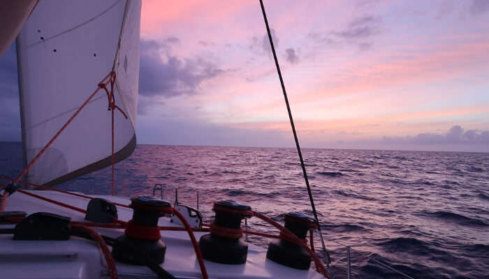 Catamaran Sailing