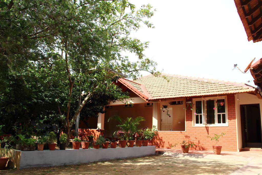 A Kannada style homestay with a tree and a porch
