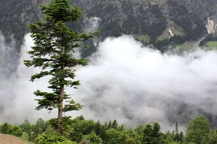 cloudy weather in manali