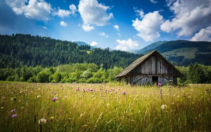 Countryhouse near Lienz