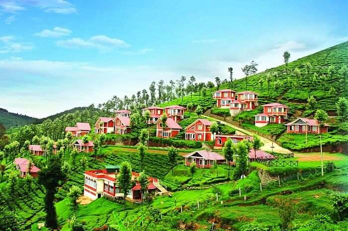 hotels in Ooty