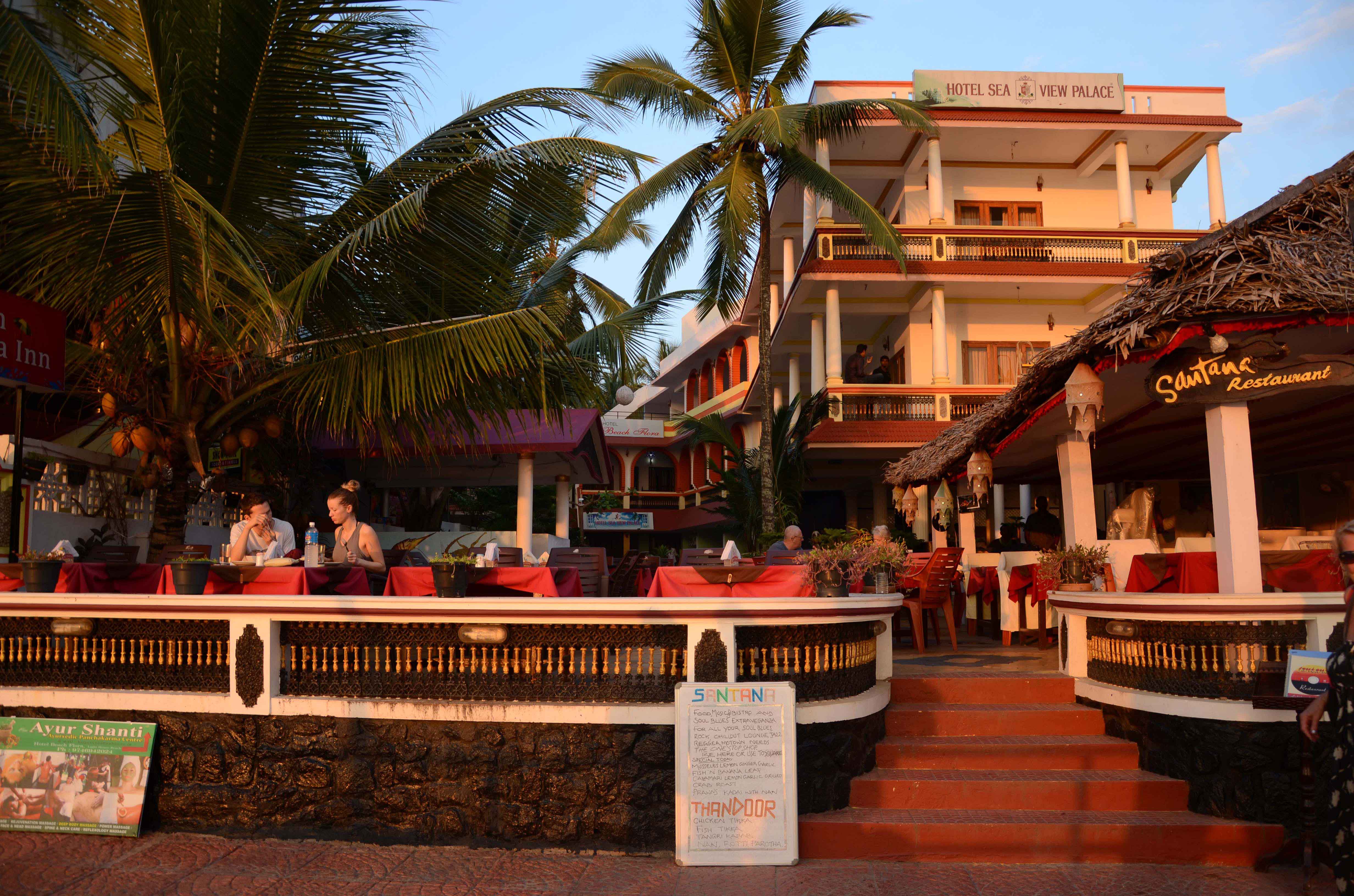 hotel sea view surrounded by palm trees