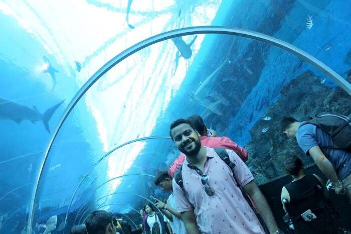 sea aquarium in sentosa