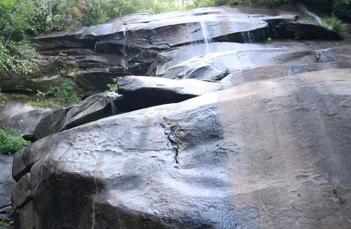 Pisgah National Forest