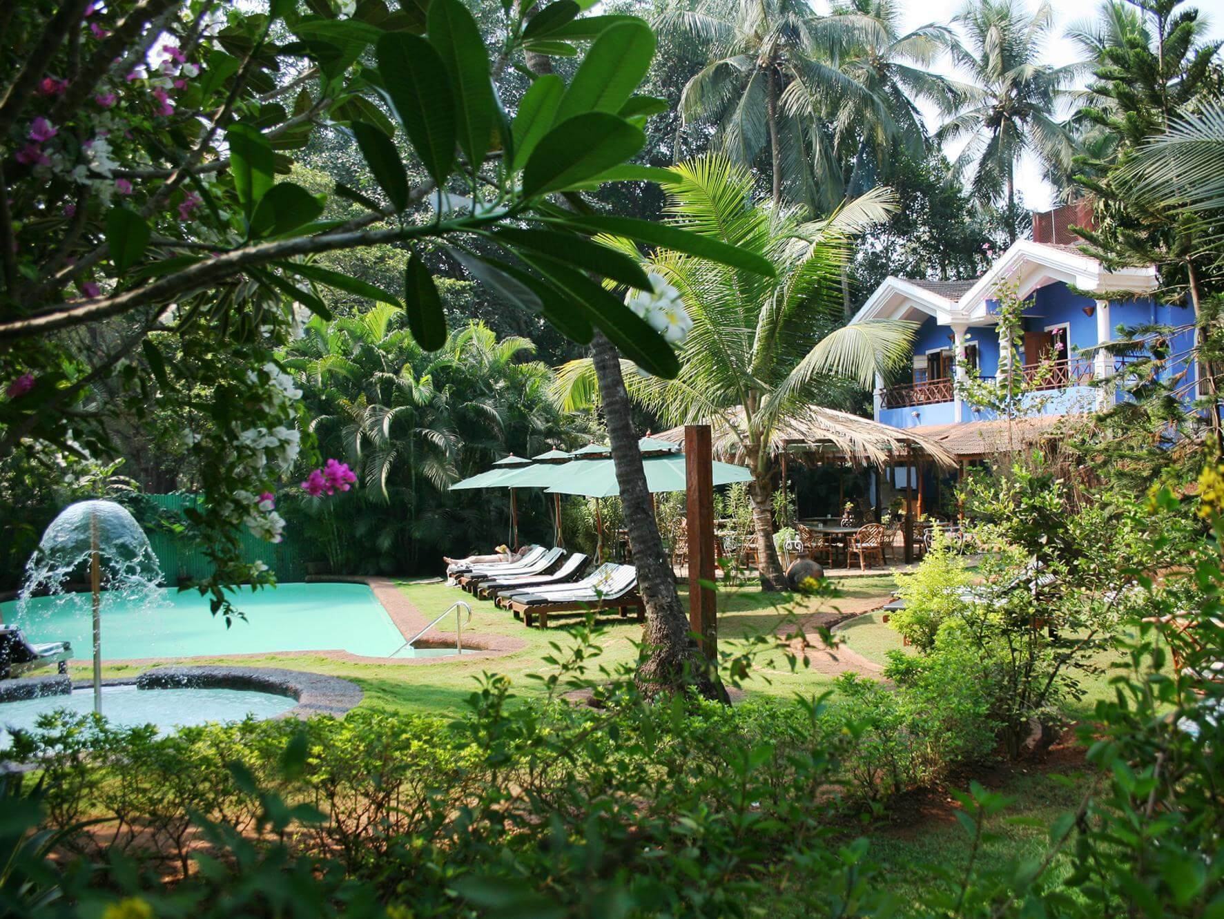 A huge pool and lush green lawn in a hotel