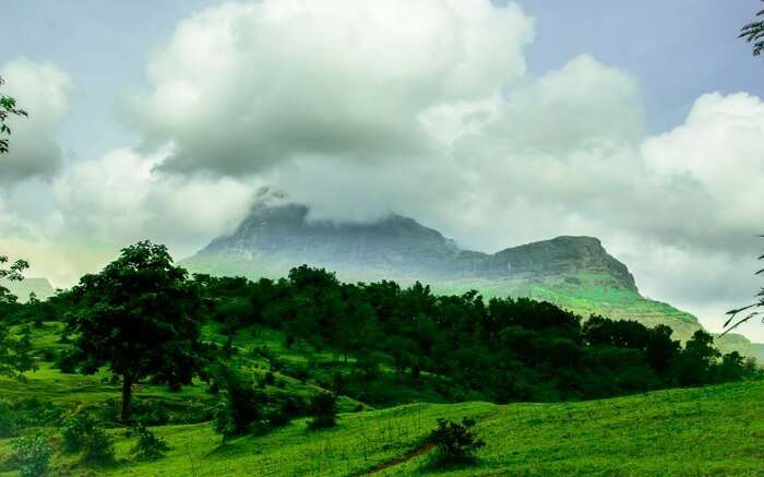 Purshwadis green landscapes around the hillocks covered in clouds