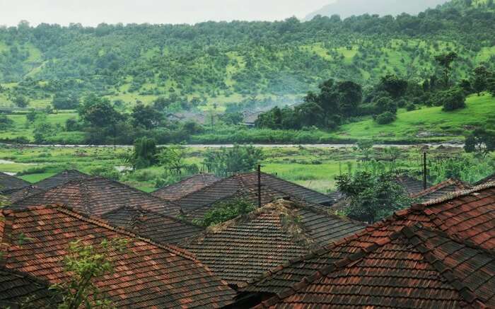 Roofs of houses in Purushwadi overlooking the green landscape