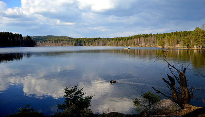 Sognsvann Lake in Norway