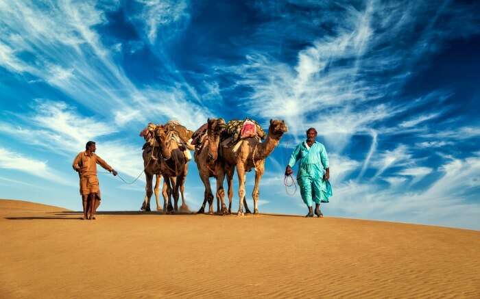 Two Rajasthani men with their camels in Thar Desert