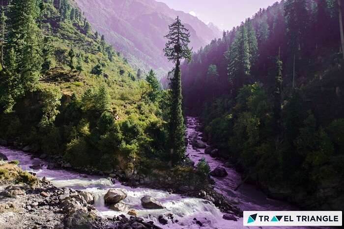 Tributaries of a river merging together in the Parvati Valley