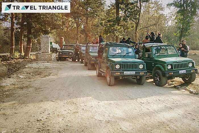 Travelers on a jeep safari expedition in Jim Corbett National Park